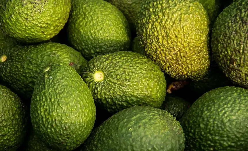 Zdrowe tluszcze